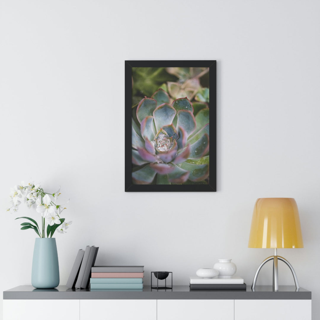 Stunning Succulent - Framed Print - Visiting This World