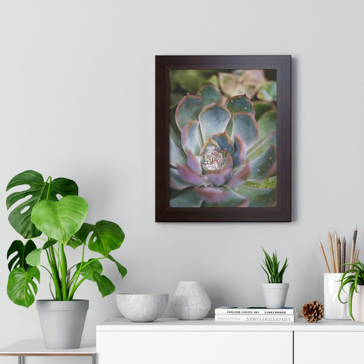 Stunning Succulent - Framed Print - Visiting This World