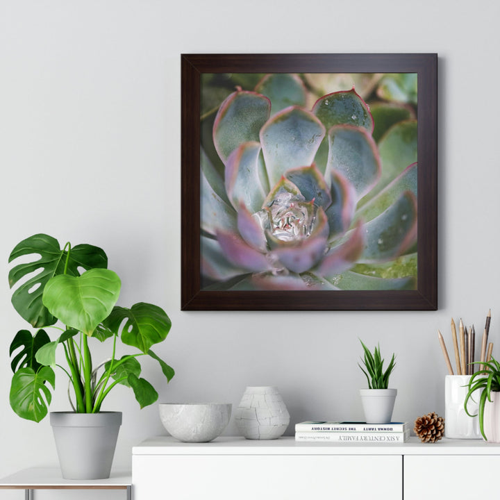 Stunning Succulent - Framed Print - Visiting This World