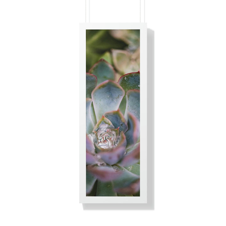 Stunning Succulent - Framed Print - Visiting This World