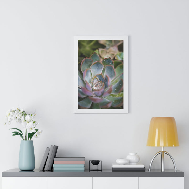 Stunning Succulent - Framed Print - Visiting This World