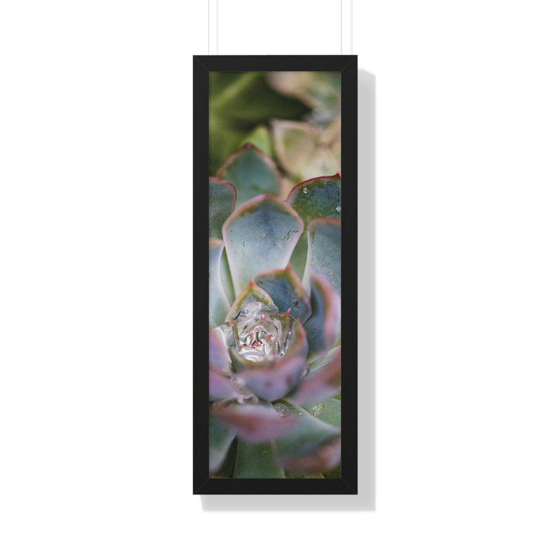 Stunning Succulent - Framed Print - Visiting This World