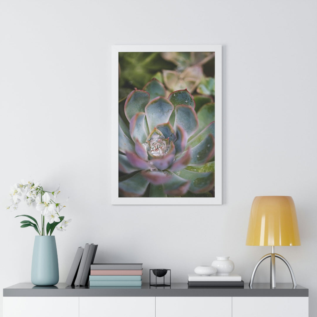 Stunning Succulent - Framed Print - Visiting This World