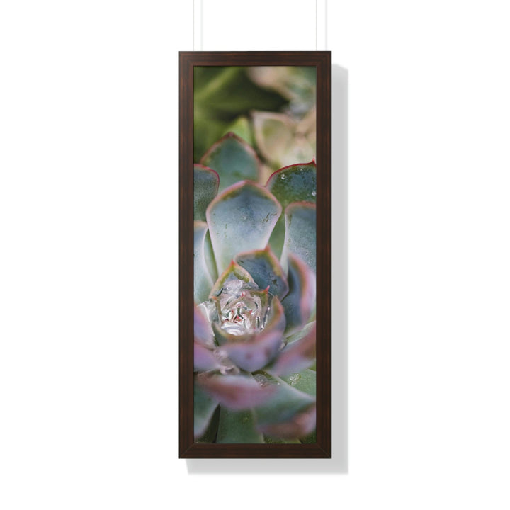 Stunning Succulent - Framed Print - Visiting This World