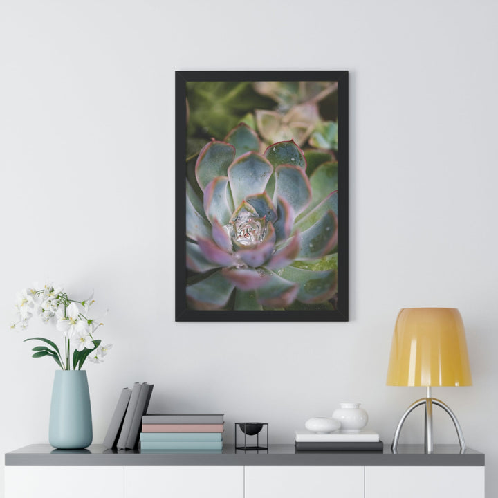 Stunning Succulent - Framed Print - Visiting This World