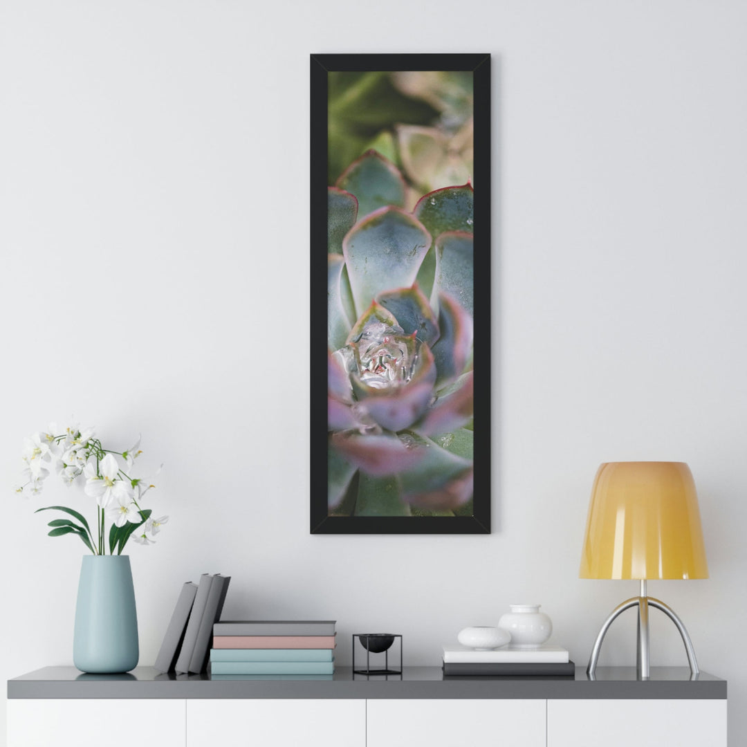 Stunning Succulent - Framed Print - Visiting This World