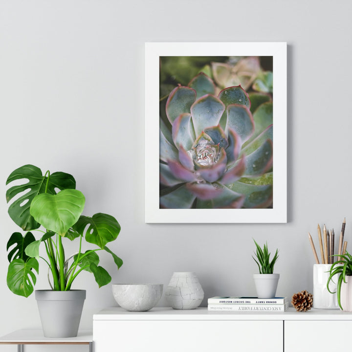 Stunning Succulent - Framed Print - Visiting This World