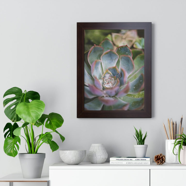 Stunning Succulent - Framed Print - Visiting This World