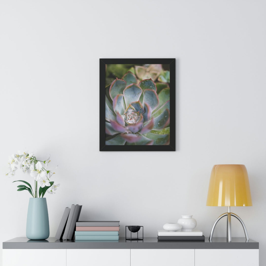 Stunning Succulent - Framed Print - Visiting This World