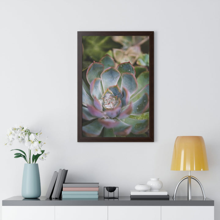 Stunning Succulent - Framed Print - Visiting This World