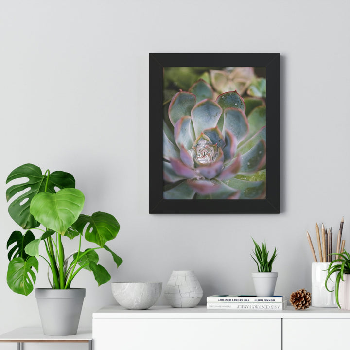 Stunning Succulent - Framed Print - Visiting This World