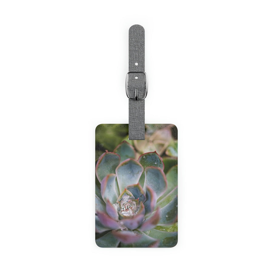 Stunning Succulent - Luggage Tag - Visiting This World