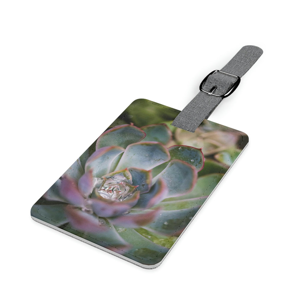 Stunning Succulent - Luggage Tag - Visiting This World