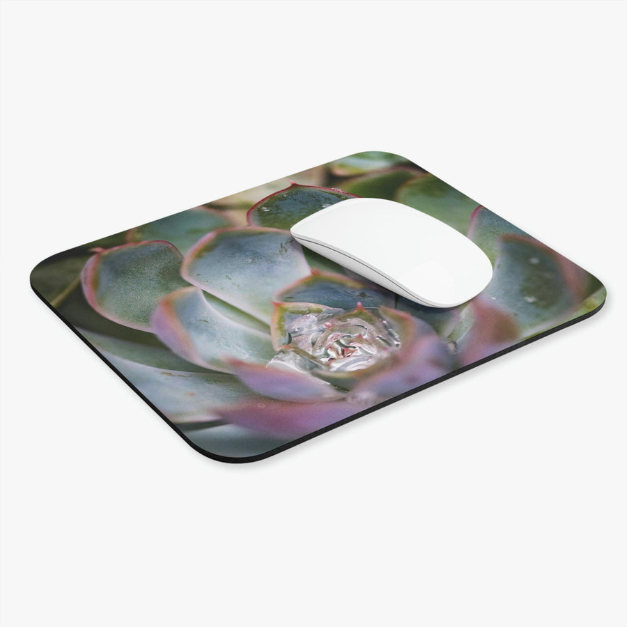 Stunning Succulent - Mouse Pad (Rectangle) - Visiting This World