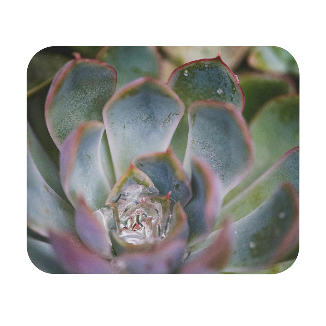 Stunning Succulent - Mouse Pad (Rectangle) - Visiting This World