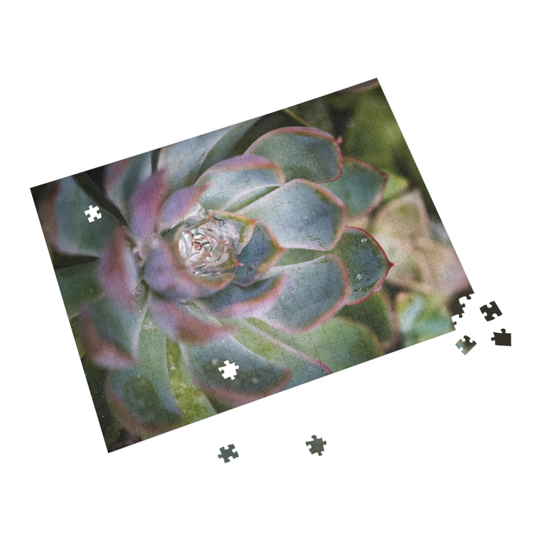 Stunning Succulent - Nature Puzzle (96, 252, 500, 1000-Piece) - Visiting This World