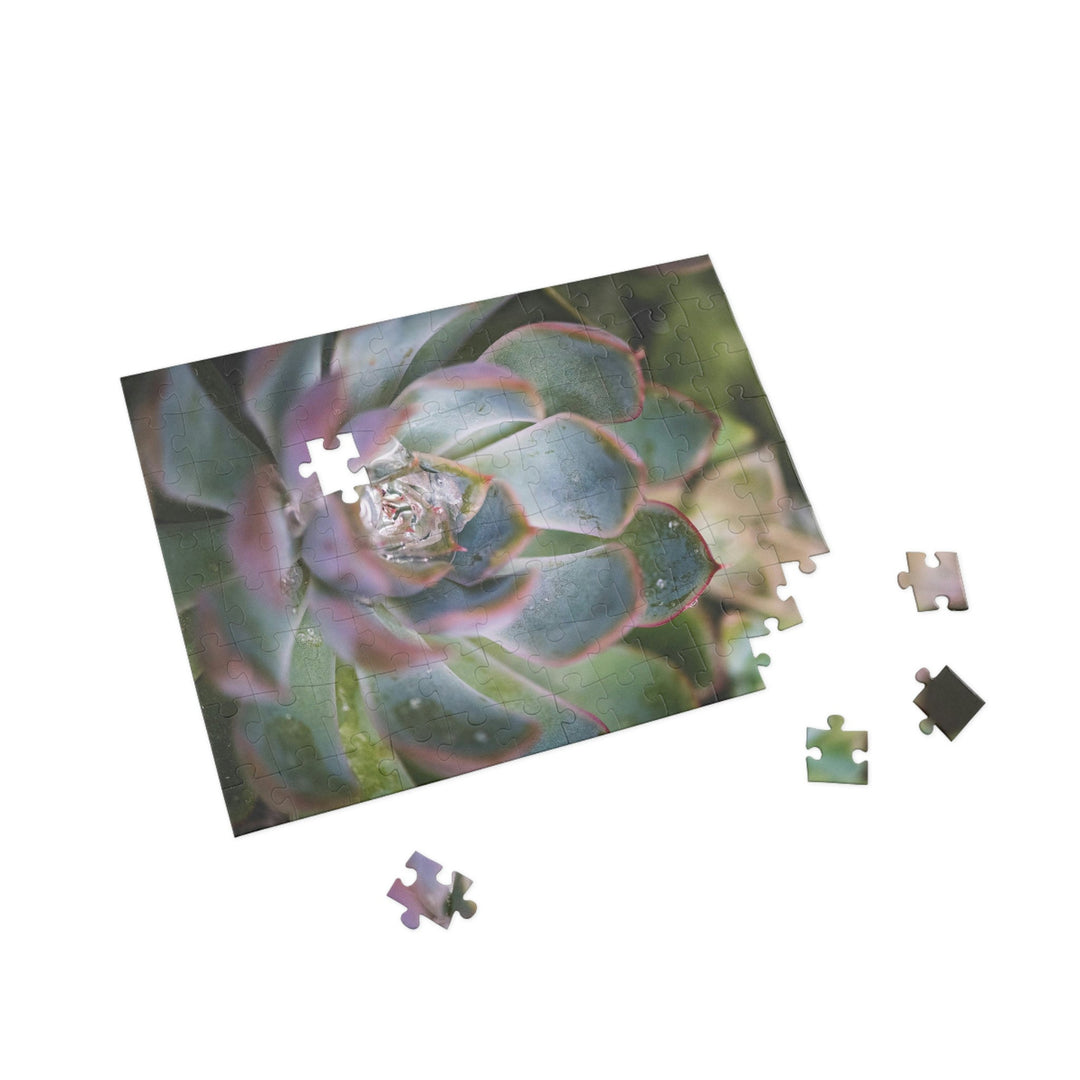 Stunning Succulent - Nature Puzzle (96, 252, 500, 1000-Piece) - Visiting This World