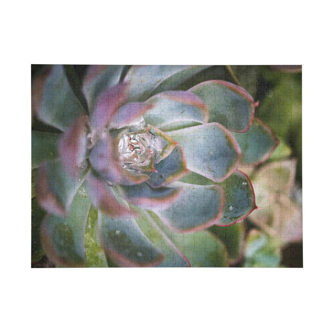 Stunning Succulent - Nature Puzzle (96, 252, 500, 1000-Piece) - Visiting This World