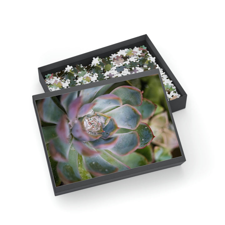 Stunning Succulent - Nature Puzzle (96, 252, 500, 1000-Piece) - Visiting This World