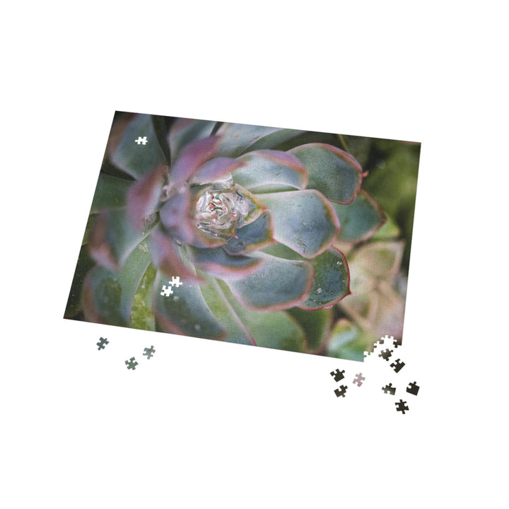 Stunning Succulent - Nature Puzzle (96, 252, 500, 1000-Piece) - Visiting This World