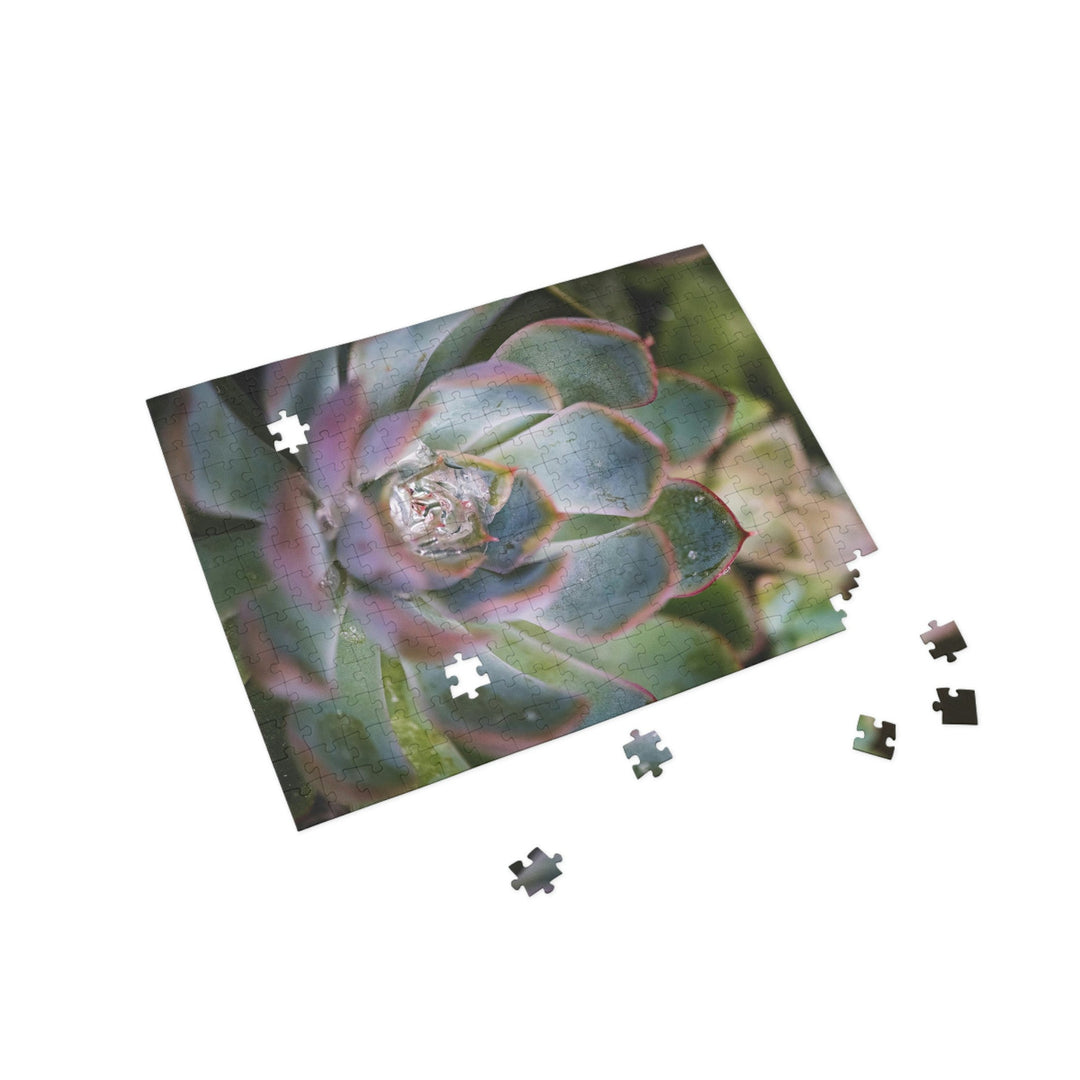 Stunning Succulent - Nature Puzzle (96, 252, 500, 1000-Piece) - Visiting This World