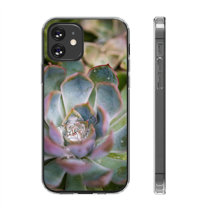 Stunning Succulent - Phone Case Featuring Photography Art - Visiting This World