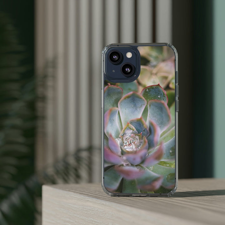 Stunning Succulent - Phone Case Featuring Photography Art - Visiting This World