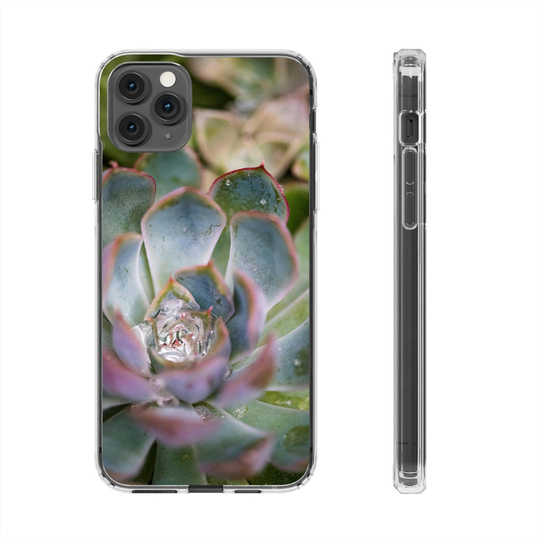 Stunning Succulent - Phone Case Featuring Photography Art - Visiting This World