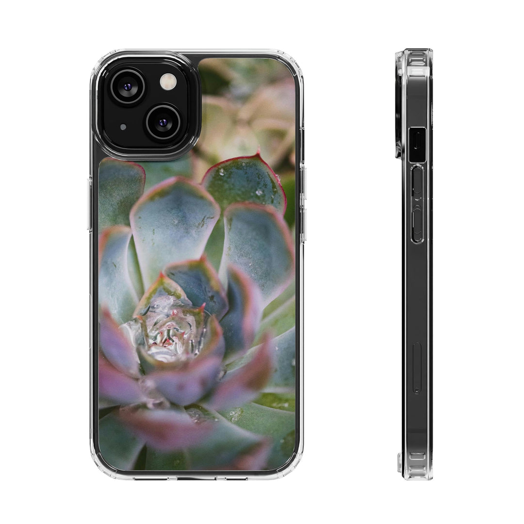 Stunning Succulent - Phone Case Featuring Photography Art - Visiting This World
