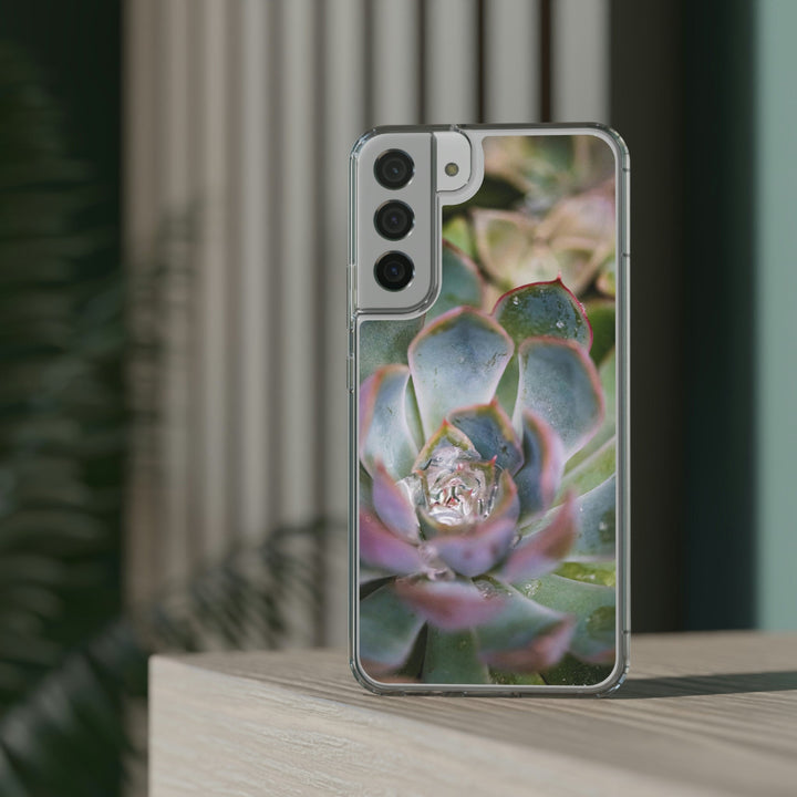 Stunning Succulent - Phone Case Featuring Photography Art - Visiting This World