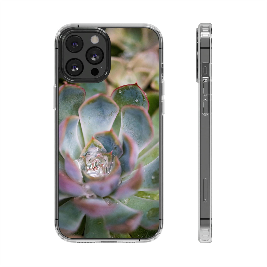 Stunning Succulent - Phone Case Featuring Photography Art - Visiting This World