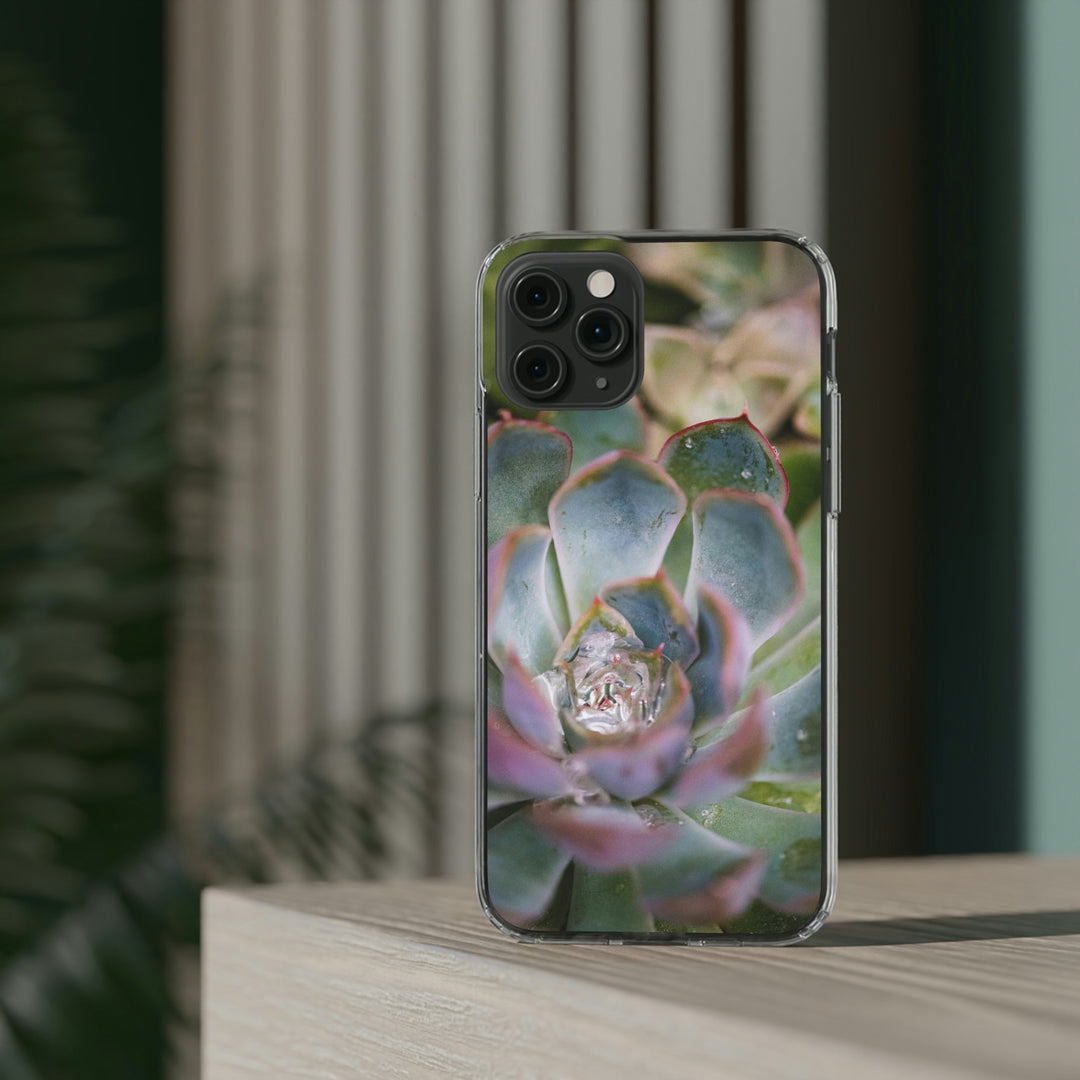 Stunning Succulent - Phone Case Featuring Photography Art - Visiting This World