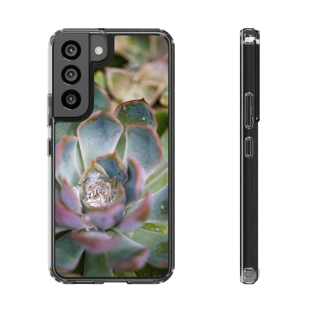 Stunning Succulent - Phone Case Featuring Photography Art - Visiting This World