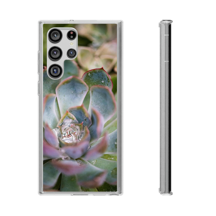 Stunning Succulent - Phone Case Featuring Photography Art - Visiting This World