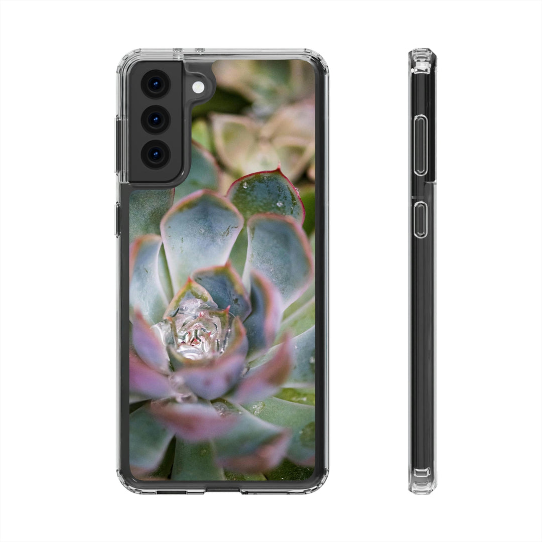 Stunning Succulent - Phone Case Featuring Photography Art - Visiting This World