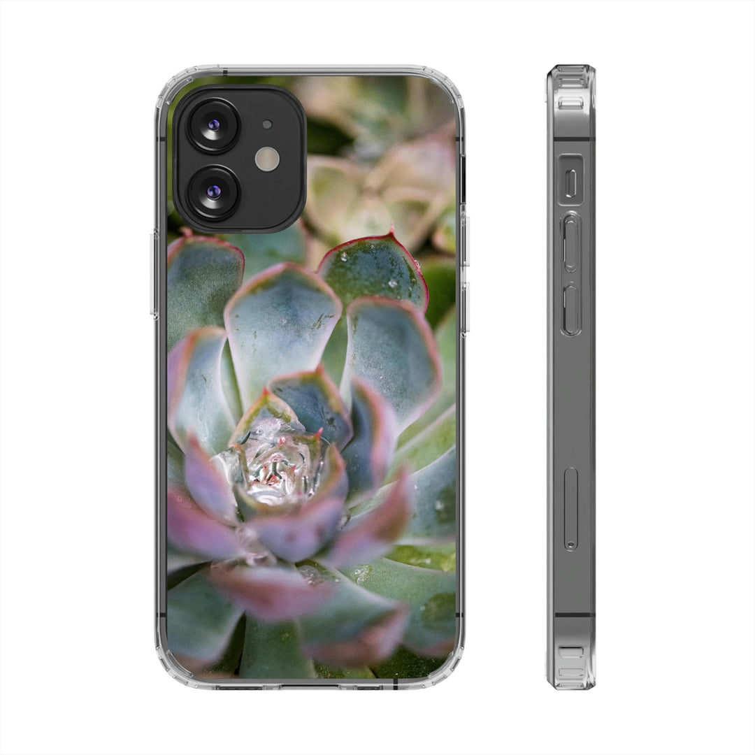 Stunning Succulent - Phone Case Featuring Photography Art - Visiting This World