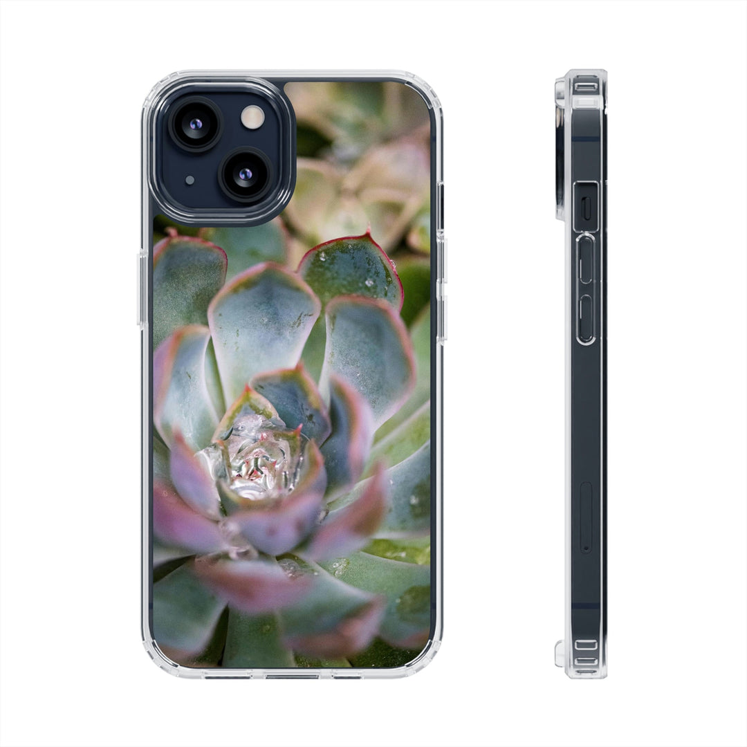 Stunning Succulent - Phone Case Featuring Photography Art - Visiting This World