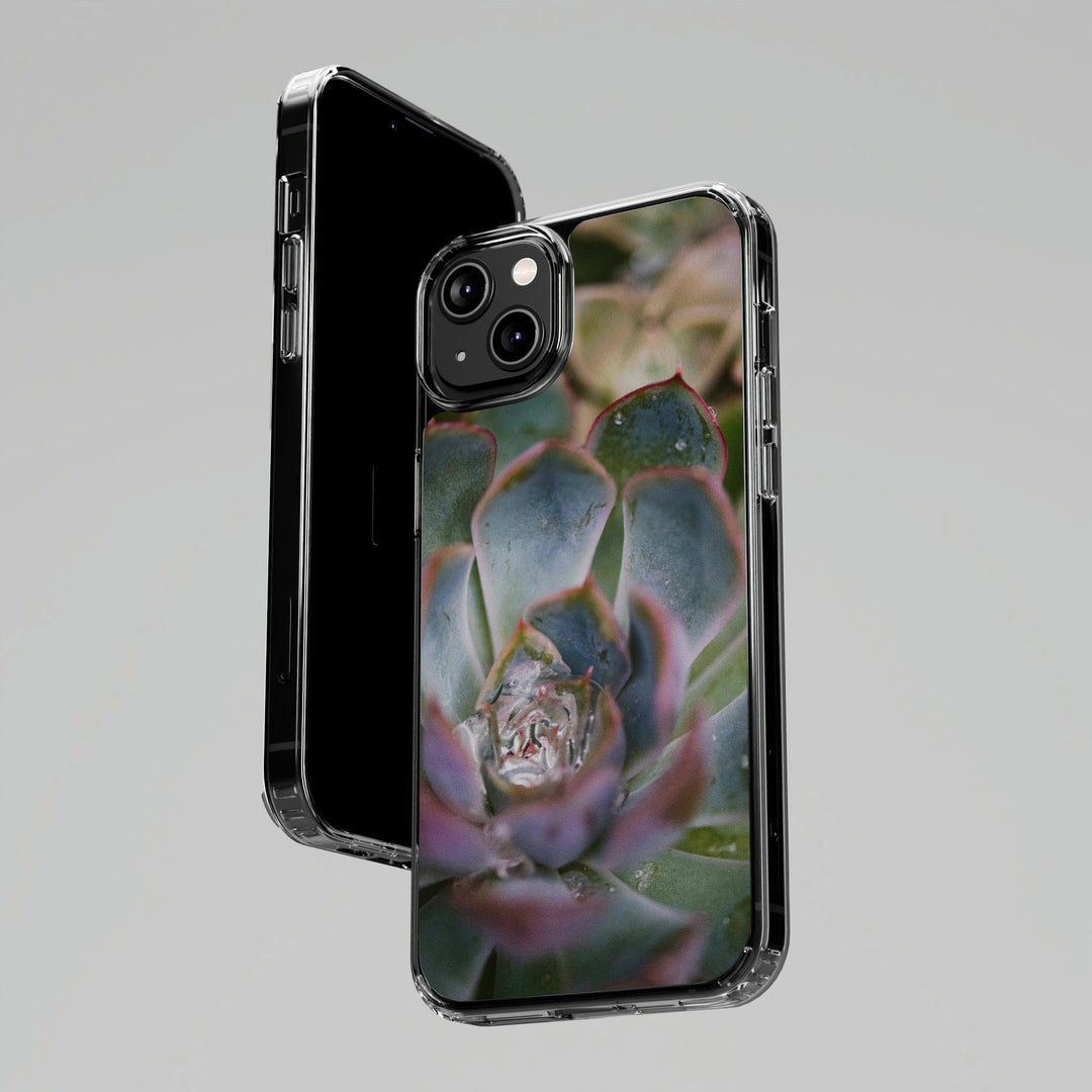 Stunning Succulent - Phone Case Featuring Photography Art - Visiting This World