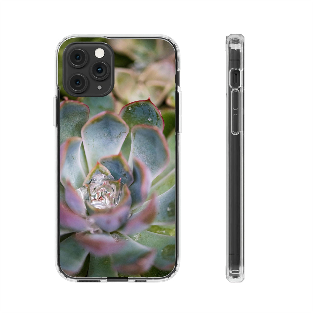 Stunning Succulent - Phone Case Featuring Photography Art - Visiting This World