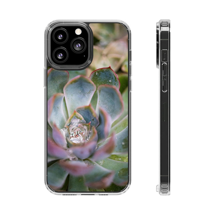 Stunning Succulent - Phone Case Featuring Photography Art - Visiting This World