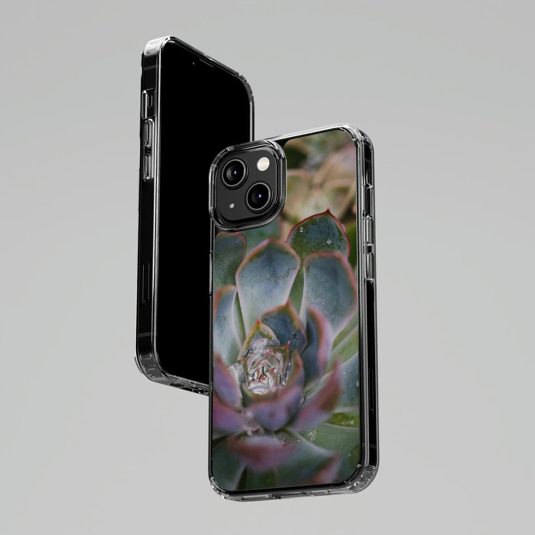 Stunning Succulent - Phone Case Featuring Photography Art - Visiting This World