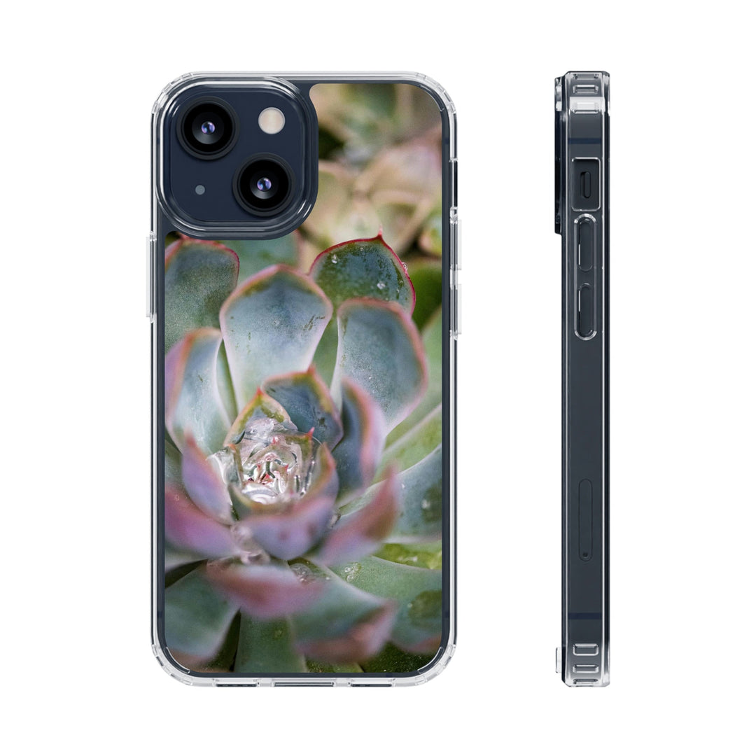 Stunning Succulent - Phone Case Featuring Photography Art - Visiting This World