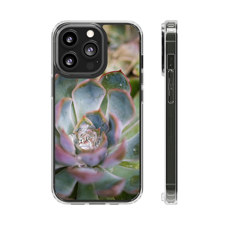 Stunning Succulent - Phone Case Featuring Photography Art - Visiting This World