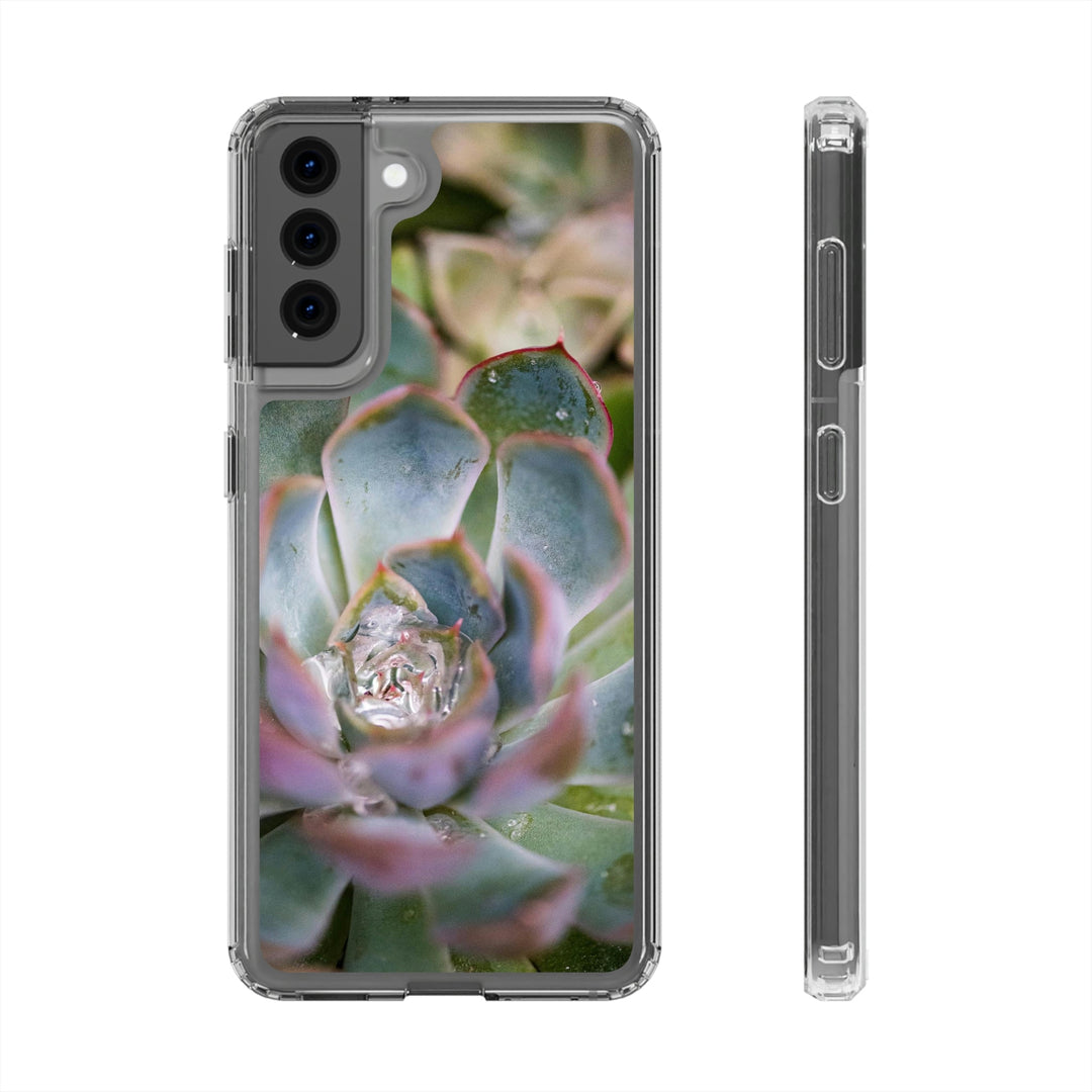 Stunning Succulent - Phone Case Featuring Photography Art - Visiting This World