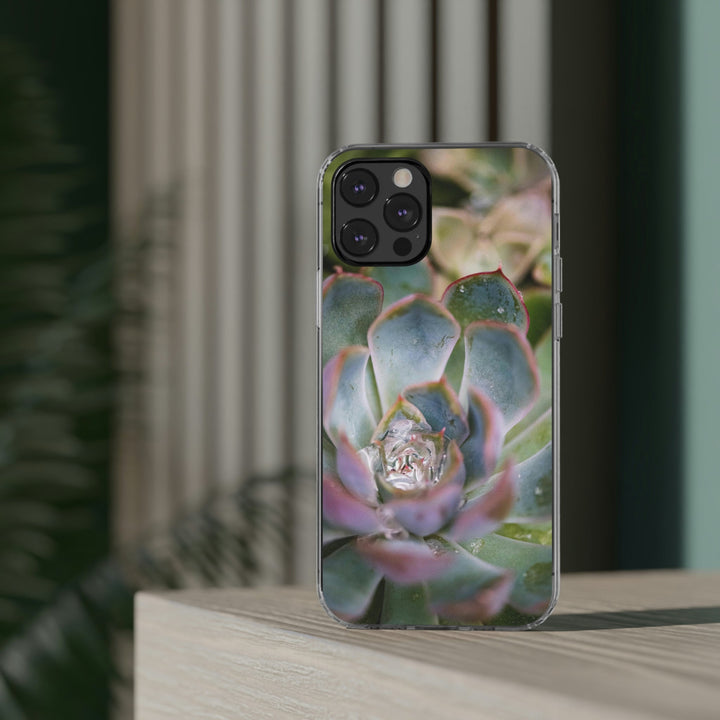 Stunning Succulent - Phone Case Featuring Photography Art - Visiting This World