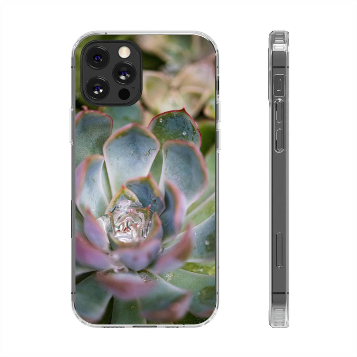 Stunning Succulent - Phone Case Featuring Photography Art - Visiting This World