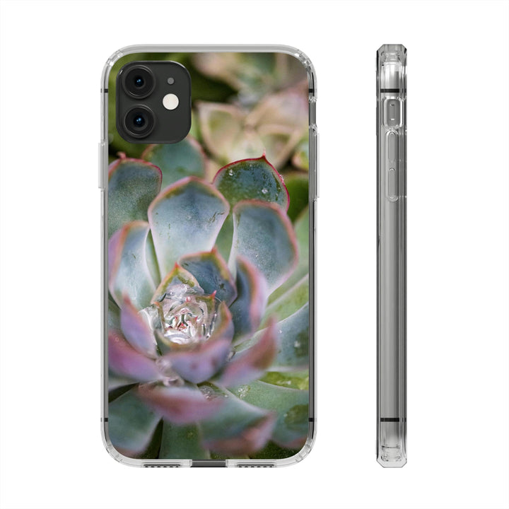 Stunning Succulent - Phone Case Featuring Photography Art - Visiting This World