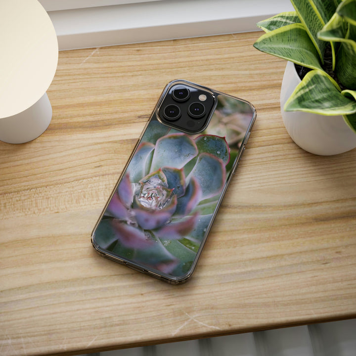 Stunning Succulent - Phone Case Featuring Photography Art - Visiting This World