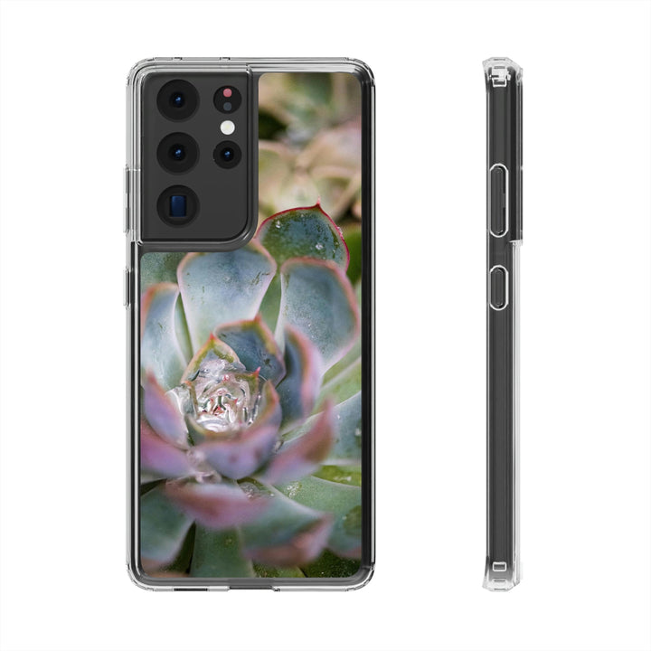 Stunning Succulent - Phone Case Featuring Photography Art - Visiting This World