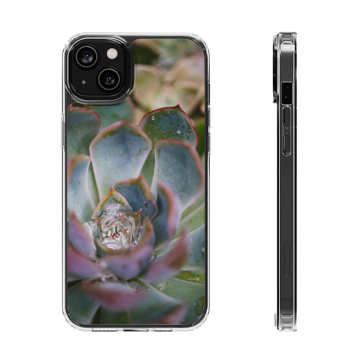 Stunning Succulent - Phone Case Featuring Photography Art - Visiting This World